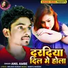 About Dardiya Dil Me Hola Song