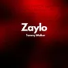 About Zaylo Song