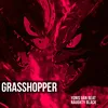 About Grasshopper Song