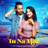 About Tu Na Mile Song