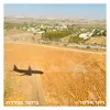 About ביקור מולדת Song