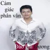 Cảm giác phân vân 1