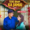 About Tere Baap Ka Jamai Song