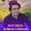 About Na Maram La Beltoona Song