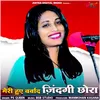 About Meri Hui Barbaad Jindgi Chhora Song