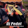 About Dj Pedot Sewandono instr Song