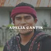 About ADELIA CANTIK Song
