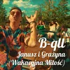 About Wakacyjna Miłość (Janusz i Grażyna) Song