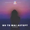 About Nu te mai aștept Song