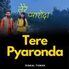 About Tere Pyaronda Song