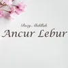 About Ancur Lebur Song