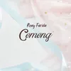 About Cemeng Song