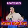 About Dipetik Wong Liyo Song