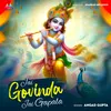 About Jai Govinda Jai Gopala Song
