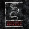 About Snakes Song