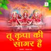 About Tu Kripa Ki Sagar hai Song