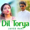 About Dil Torya Song