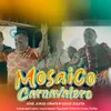 About Mosaico Carnavalero : Se Acabo Quien Te Queria / Llego el Carnaval / Puya y Hunde / Se Va Se Va / El Cebu / Pie Peluo Song