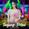 About Tanjung Perak Song