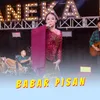 About Babar Pisan Song