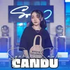 About CANDU Song