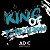 About King Of Tomorrow Song