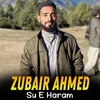 About Su E Haram Song