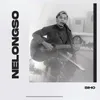 About Nelongso Song