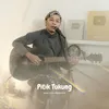 About Pitik Tukung Song