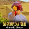 About Murshid Umar Song