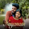 About Nayanam Song