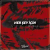 About Herşey İçin Çok Geç Song