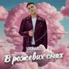 About В рожевих снах Song