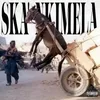 SKA' NKIMELA