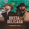 About Bruta e Delicada Song