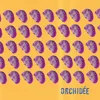 About Orchidée Song