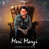 About Meri Marzi Song