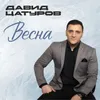 About Весна Song