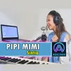 About Pipi Mimi Song