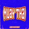 About MUAY THAI (มวยไทย) Song