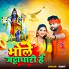 About Bhole Jatadhari Hai Song