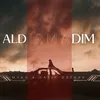 About Aldırmadım Song