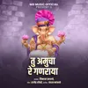 About Tu Amucha Re Ganraya Song