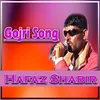 About Gojri Song Song