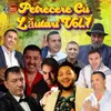 Petrecere Cu Lăutari, Vol. 1