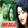 About Amri Dulad Song