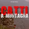 About Catti A Muntagna Song