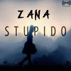 About Stupido Song