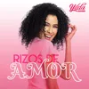 About Rizos de amor Song