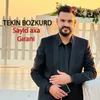 About Sayid Axa Gırani Song